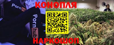 ГАЛЛЮЦИНОГЕННЫЕ ГРИБЫ Славянск-на-Кубани