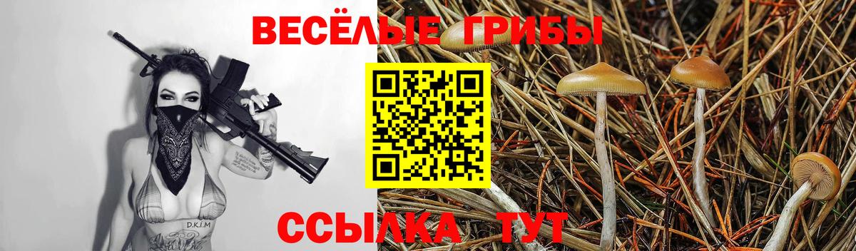 наркота  Галлюциногенные грибы мухоморы  Вход с VPN  Отрадный 